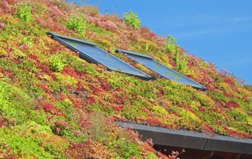 Wenvoe living roof systems